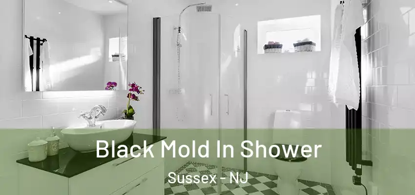 Black Mold In Shower Sussex - NJ
