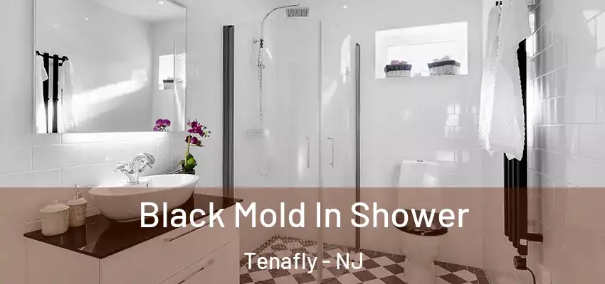 Black Mold In Shower Tenafly - NJ