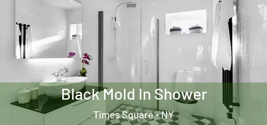 Black Mold In Shower Times Square - NY