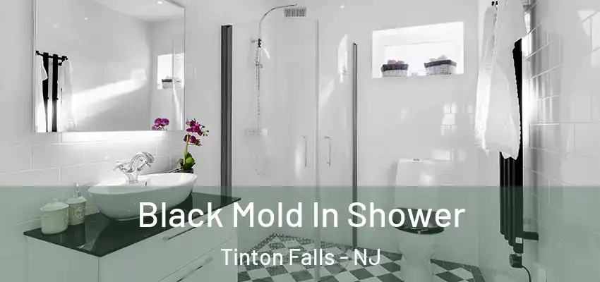 Black Mold In Shower Tinton Falls - NJ