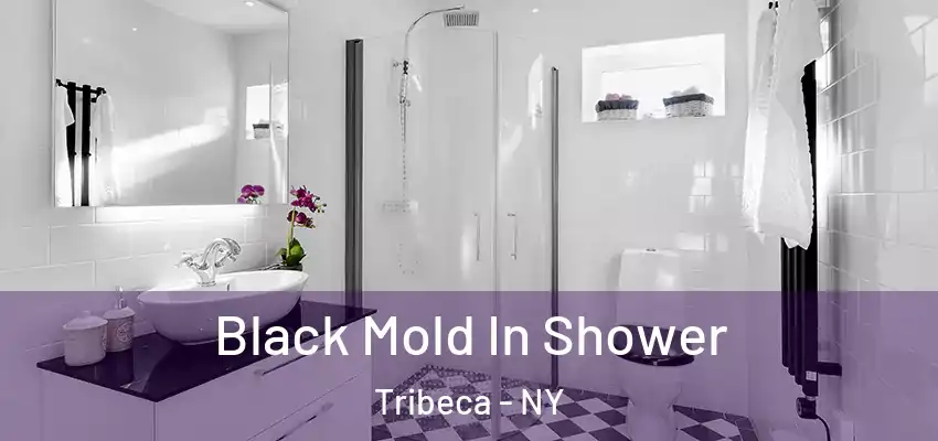 Black Mold In Shower Tribeca - NY