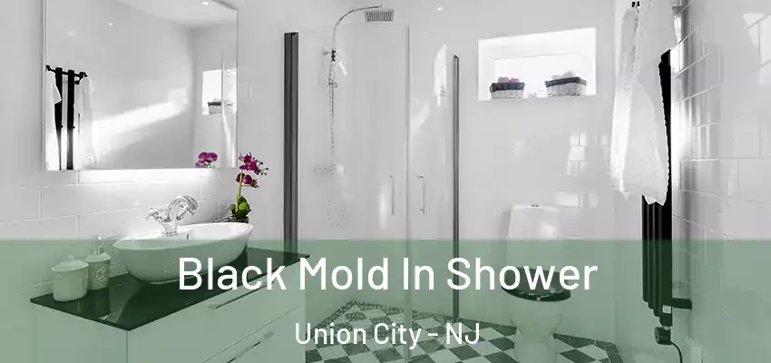  Black Mold In Shower Union City - NJ