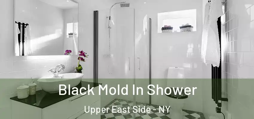  Black Mold In Shower Upper East Side - NY