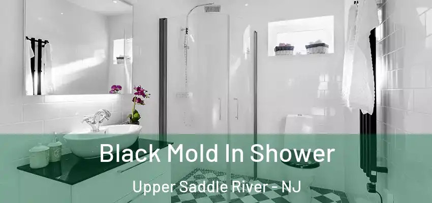 Black Mold In Shower Upper Saddle River - NJ