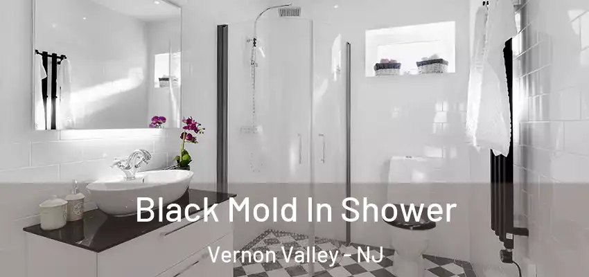  Black Mold In Shower Vernon Valley - NJ