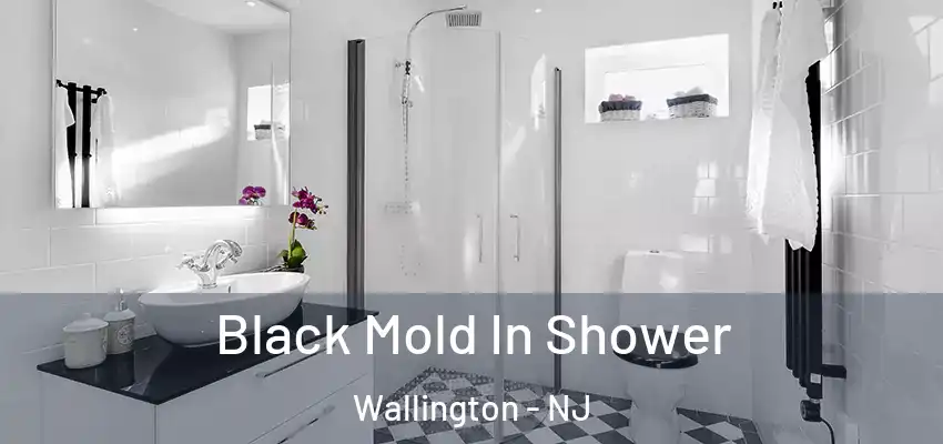  Black Mold In Shower Wallington - NJ
