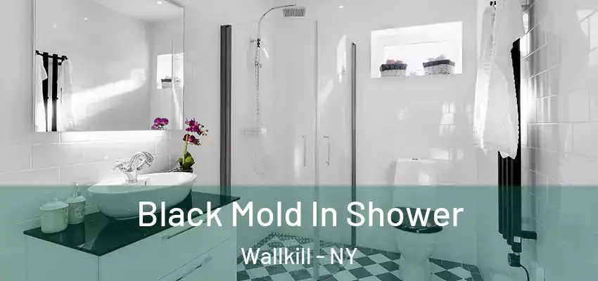  Black Mold In Shower Wallkill - NY