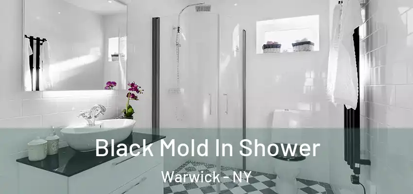  Black Mold In Shower Warwick - NY