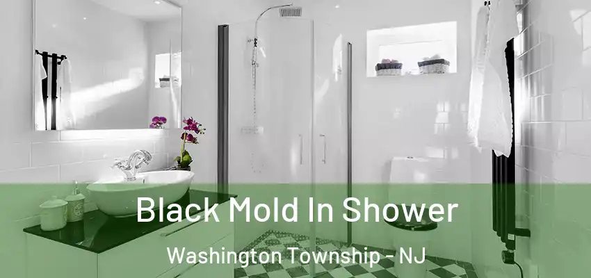 Black Mold In Shower Washington Township - NJ