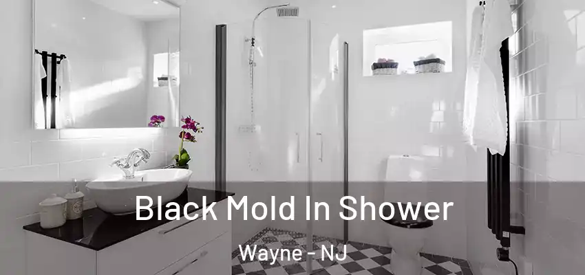  Black Mold In Shower Wayne - NJ