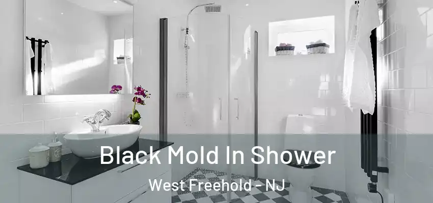 Black Mold In Shower West Freehold - NJ