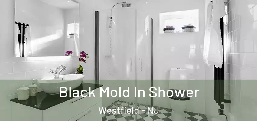 Black Mold In Shower Westfield - NJ