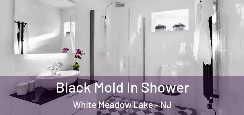 Black Mold In Shower White Meadow Lake - NJ