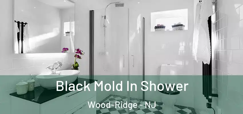  Black Mold In Shower Wood-Ridge - NJ