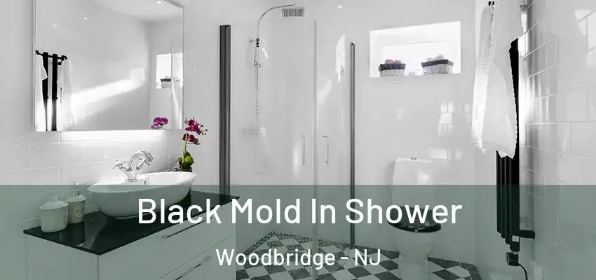  Black Mold In Shower Woodbridge - NJ