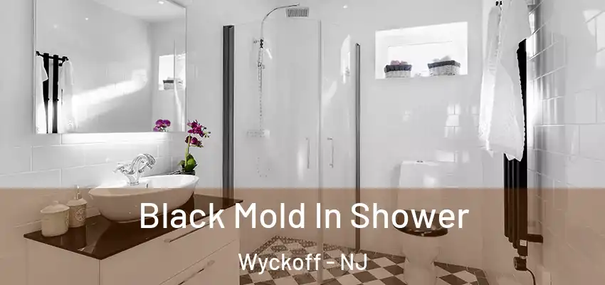 Black Mold In Shower Wyckoff - NJ
