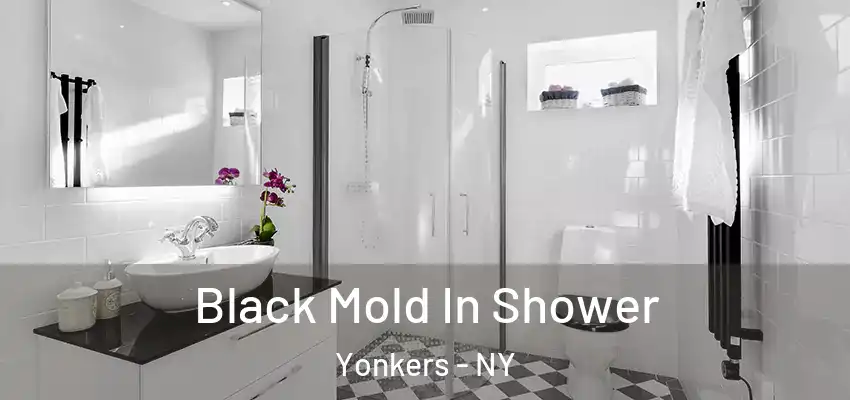 Black Mold In Shower Yonkers - NY