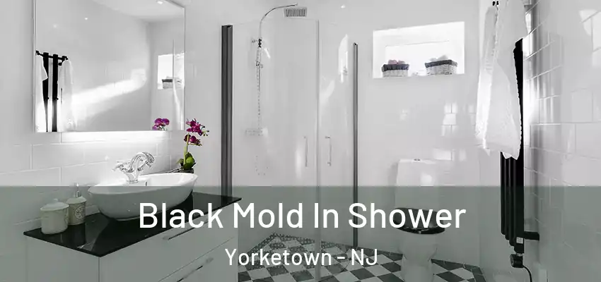 Black Mold In Shower Yorketown - NJ