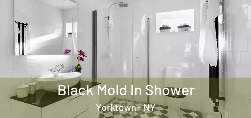 Black Mold In Shower Yorktown - NY