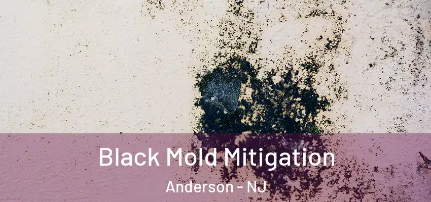 Black Mold Mitigation Anderson - NJ