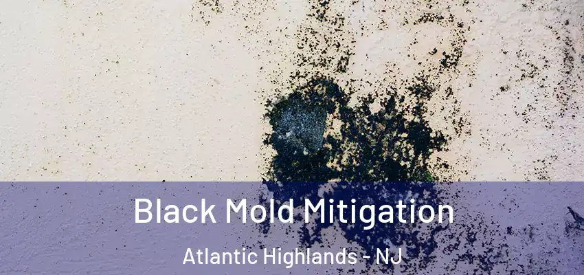 Black Mold Mitigation Atlantic Highlands - NJ