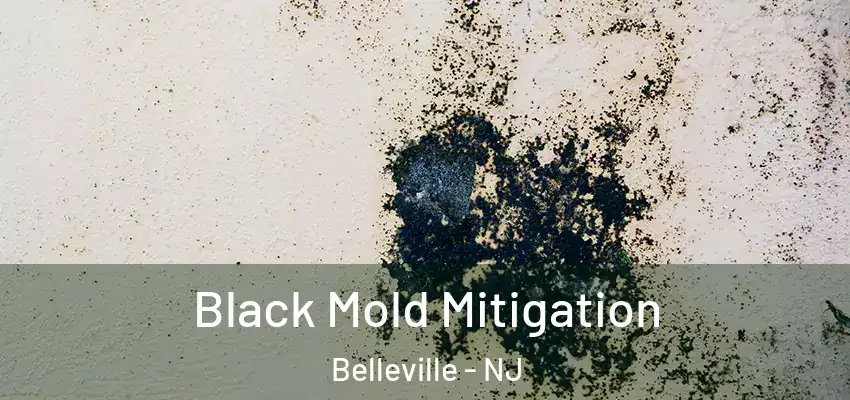 Black Mold Mitigation Belleville - NJ