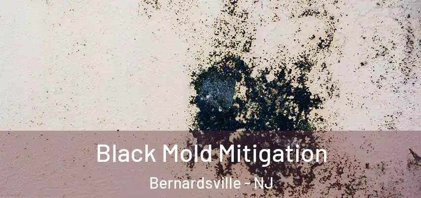  Black Mold Mitigation Bernardsville - NJ