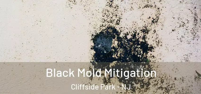  Black Mold Mitigation Cliffside Park - NJ