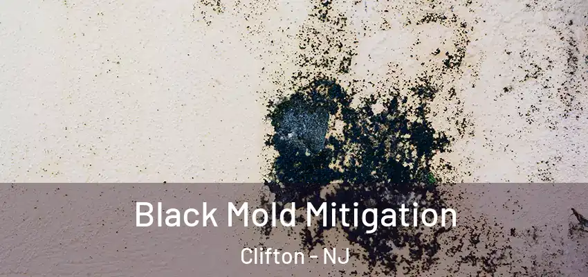  Black Mold Mitigation Clifton - NJ