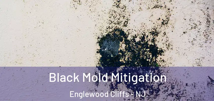Black Mold Mitigation Englewood Cliffs - NJ