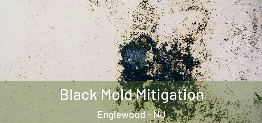 Black Mold Mitigation Englewood - NJ