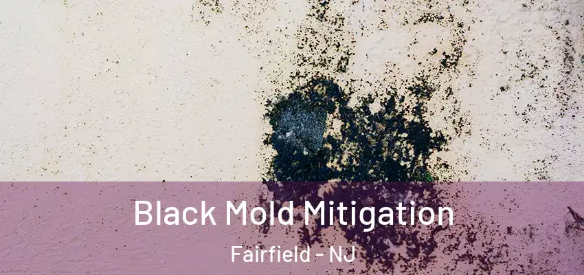 Black Mold Mitigation Fairfield - NJ
