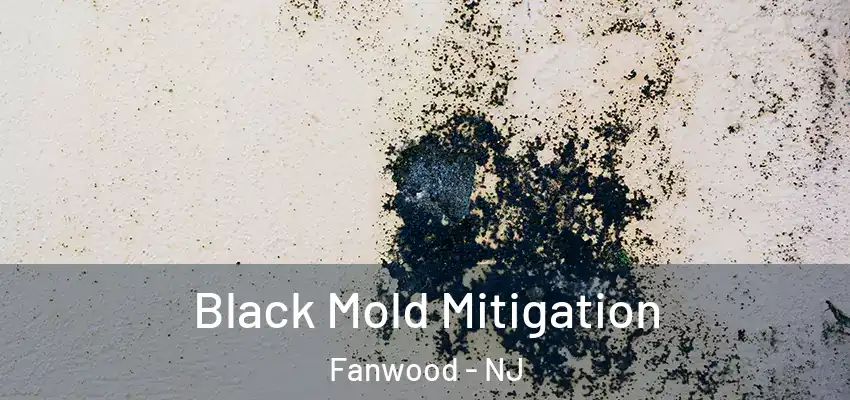 Black Mold Mitigation Fanwood - NJ