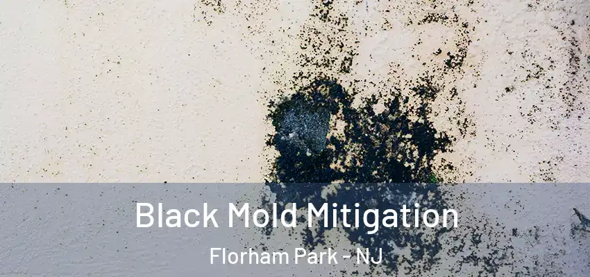  Black Mold Mitigation Florham Park - NJ
