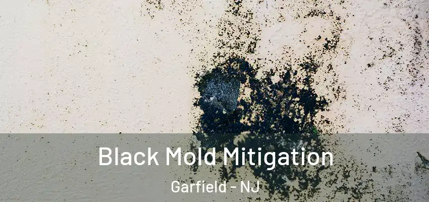 Black Mold Mitigation Garfield - NJ