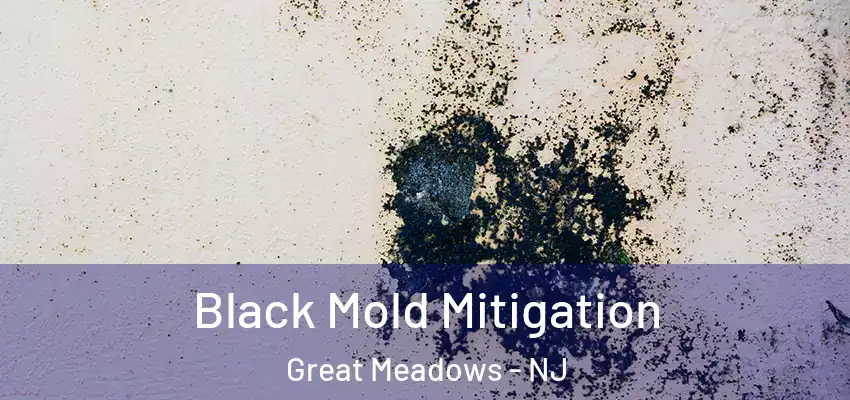  Black Mold Mitigation Great Meadows - NJ