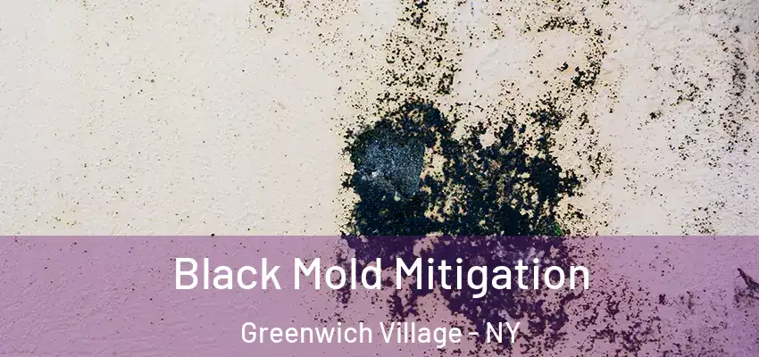 Black Mold Mitigation Greenwich Village - NY