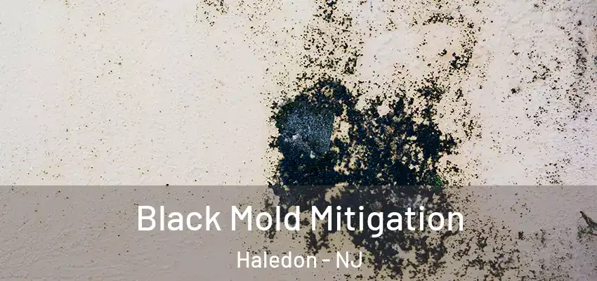 Black Mold Mitigation Haledon - NJ