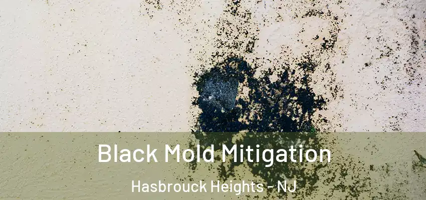 Black Mold Mitigation Hasbrouck Heights - NJ