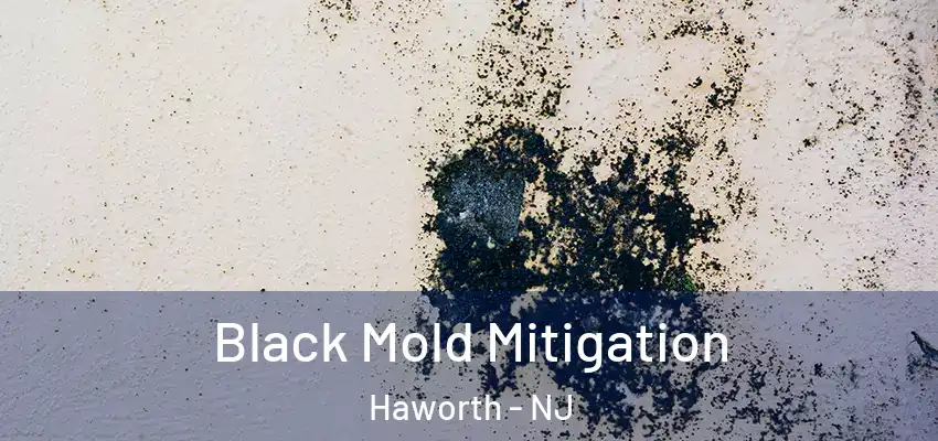 Black Mold Mitigation Haworth - NJ