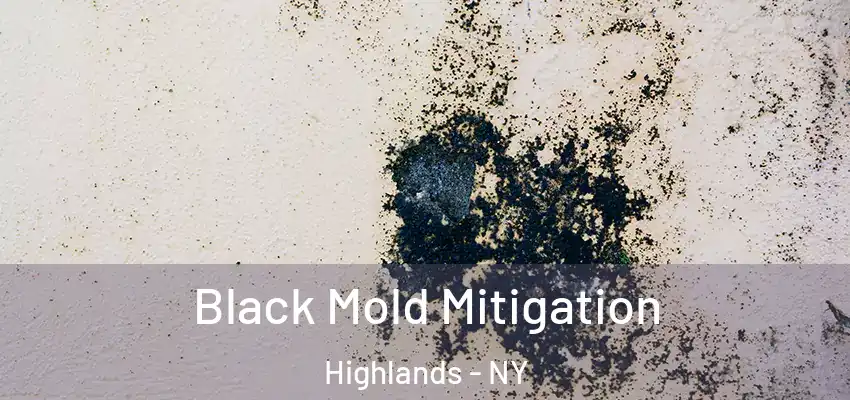 Black Mold Mitigation Highlands - NY