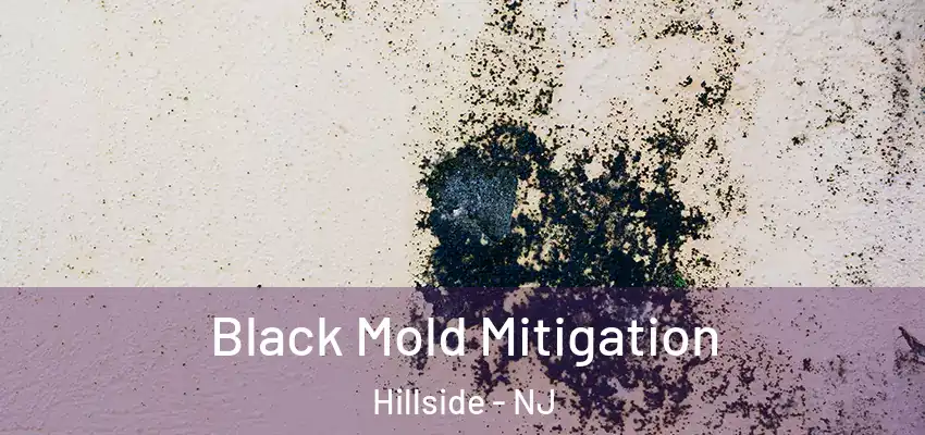 Black Mold Mitigation Hillside - NJ