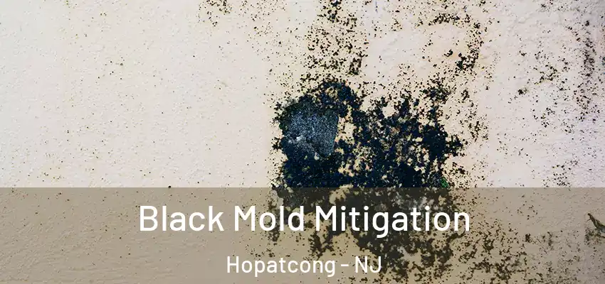 Black Mold Mitigation Hopatcong - NJ