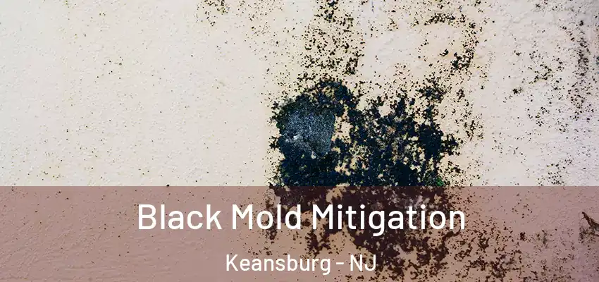 Black Mold Mitigation Keansburg - NJ