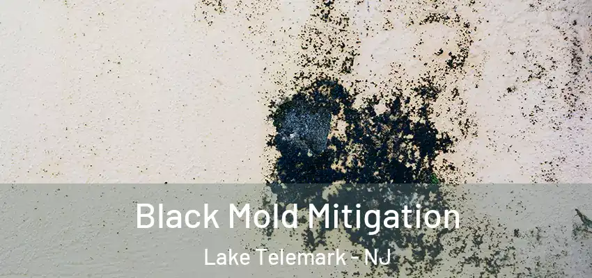  Black Mold Mitigation Lake Telemark - NJ