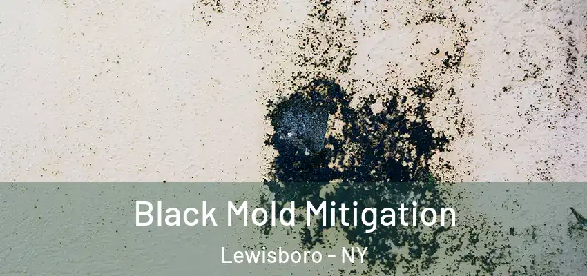  Black Mold Mitigation Lewisboro - NY