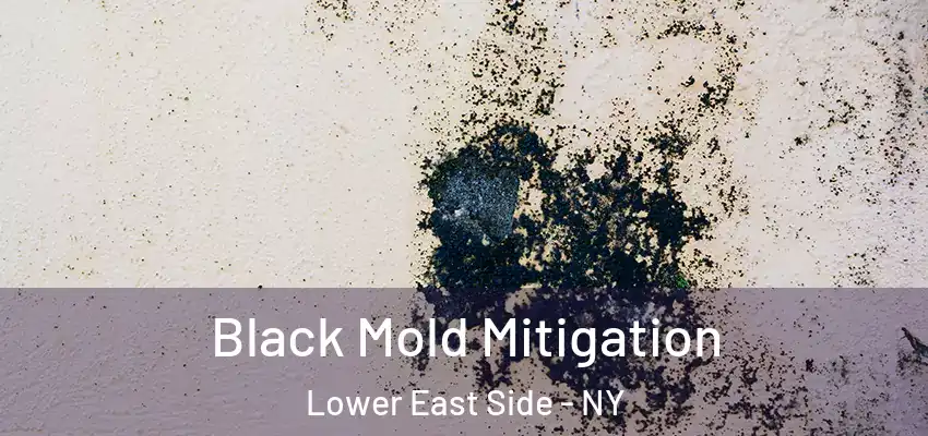  Black Mold Mitigation Lower East Side - NY