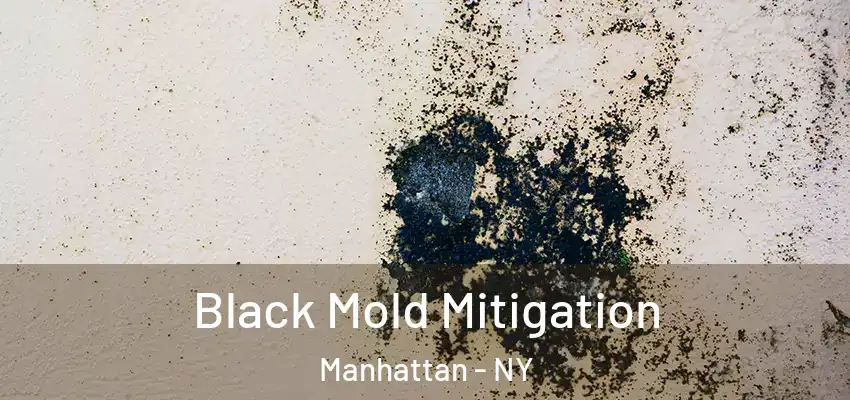 Black Mold Mitigation Manhattan - NY