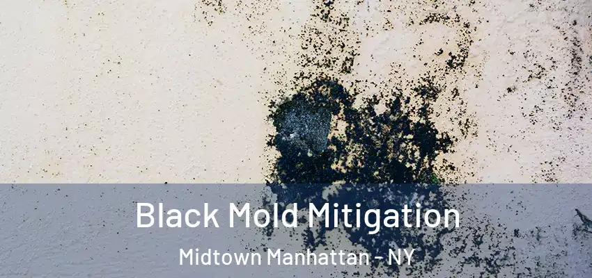 Black Mold Mitigation Midtown Manhattan - NY