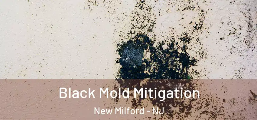 Black Mold Mitigation New Milford - NJ